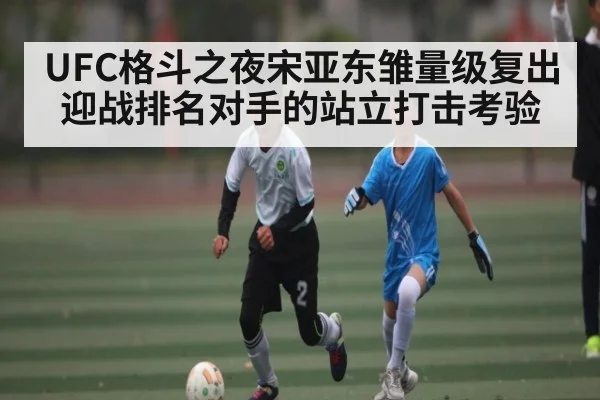 UFC格斗之夜宋亚东雏量级复出 迎战排名对手的站立打击考验